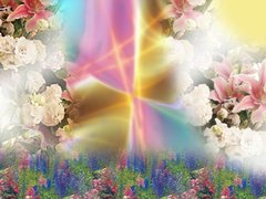 Пролет - тапети за десктоп 1024x768