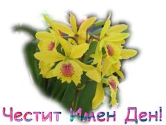 Картичка за Имен Ден