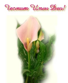 Картичка за Имен Ден