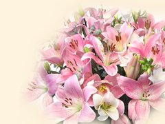 Първа Пролет - честитки