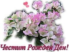 Картички за Рожден Ден