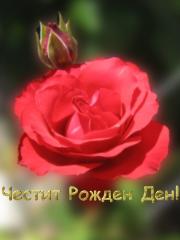 Картички за Рожден Ден