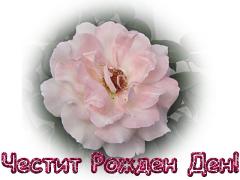 Картички за Рожден Ден