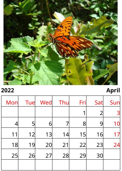 Butterfly Calendar 2022