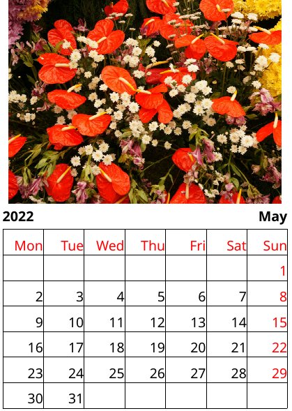 Flowers Calendar 2022