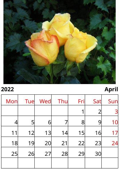 Calendar 2022 roses