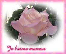 Fête des Mères - cartes de voeux roses