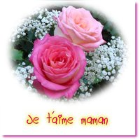 Fête des Mères - cartes de voeux roses
