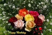 pink yellow and red roses - eCard