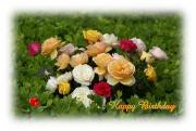 bouquet peach, white, pink and dark red roses - Happy Birthday