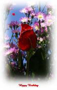 dark red rose - Birthday eCard