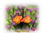 2 orange roses