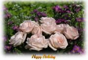 eCard bouquet soft pink roses