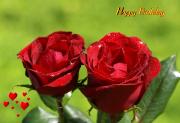 Birthday eCards 2 dark red roses with hearts