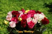 Birthday eCards bouquet dark red, pink,yellow, white roses