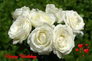 bouquet beautiful white roses with hearts