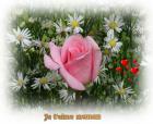 Cartes de voeux Fête des Mères je t'aime maman