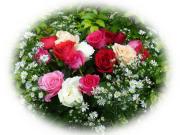 Je t'aime avec belles roses