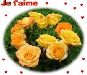 eCartes amour