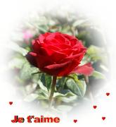 Cartes St Valentin