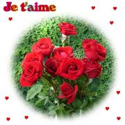 Cartes de voeux St Valentin