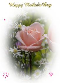 Cartes de voeux - Fête des Mères - eCartes rose rosée