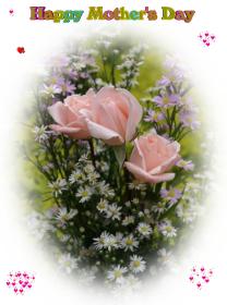 Cartes de voeux - Fête des Mères - eCartes roses rouge et roses rosées