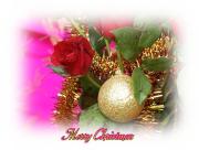 eCards red Christmas roses