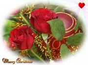eCards red Christmas roses