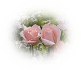 Free ecards 2 pink roses - greeting e-cards by eMail