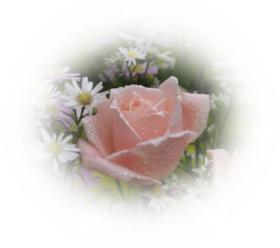 Free ecards  angel-pink rose - soft-pink greeting eCard by eMail