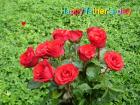 Father's day LoveCards red roses - free eCards by eMail to say *happy fathersday*