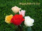Father's day LoveCards mixed colors roses - free eCards by eMail to say *happy fathers day*