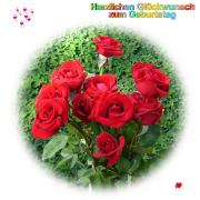 Geburtstag Glückwünsche - Grusskarte zum Geburtstag rote Rosen Strauss