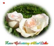 Geburtstag Glückwünsche - Grusskarte zum Geburtstag rosa Rosen