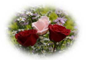 Greeting card roses