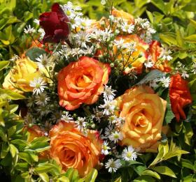 Greeting card roses