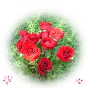 love greeting card red rose bouquet