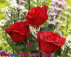 eCard Mothers day  3 dark-red roses