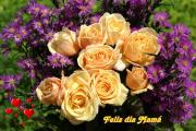 Rosas hermosas - dia de la Madre