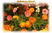 Postales dia de la Madre - flores exóticas