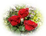 Rosas rojas