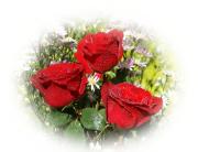 Rosas rojas