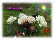 Weihnachts-Grusskarte Weisse Rosen