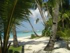 Tropical beach scenery LoveCards - free eCards by eMail with tropical beaches and beach scenery from the Philippine islands