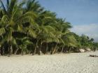 Kostenlose Grusskarten schönste Strandszenen und Meerblick Fotos - tropische Inseln der Philippinen