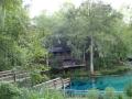 blue water scenery