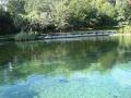 Natural mineral water - Salt Springs