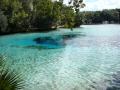 Les meilleur paysages de la Floride