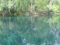 Blue water - Silver Springs
